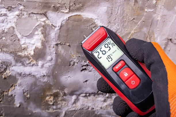 Best Home Mold Removal  in Kingston, PA